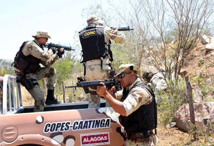 Resultado de imagem para copes caatinga alagoas