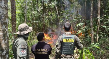 145252,policia-federal-destroi-estrutura-do-garimpo-ilegal-em-nova-operacao-na-terra-yanomani-3