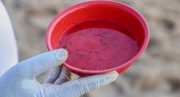 146292,brasil-registra-94-mortes-e-mais-de-550-mil-casos-provaveis-de-dengue-aponta-ministerio-da-saude-3