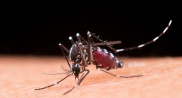 148342,sobe-para-28-o-numero-de-mortes-por-dengue-na-bahia-3