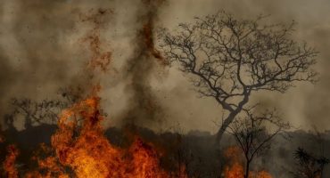 Foto: Marcelo Camargo/Agência Brasil