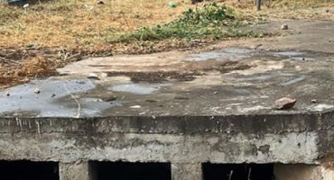 1ae8723a-4135-4113-9b5b-64bac8841542