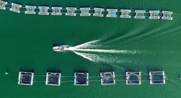 WhatsApp Image 2025-10-24 at 13.45.20