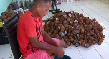 Reprodução/TV Globo