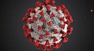 csm_novo_coronavirus_146c908516