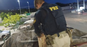 db076637-ee6c-4563-9845-c7caafafd2fa