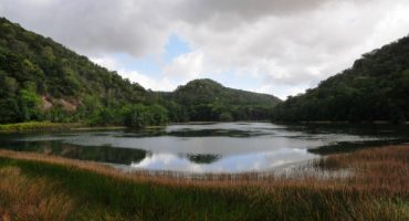 A proteção do meio ambiente é garantia de recursos fundamentais para a sobrevivência, como a água Foto: Neno Canuto