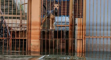Foto: Rafa Neddermeyer/Agência Brasil